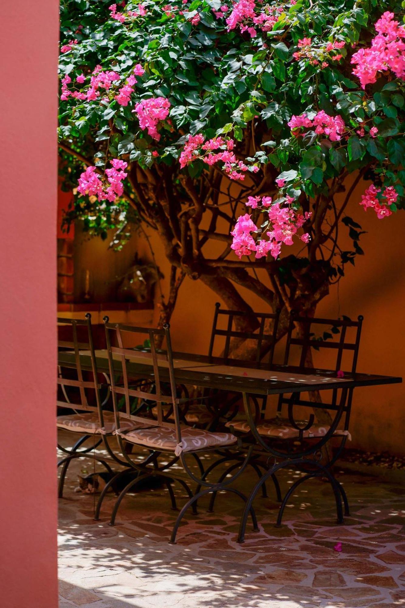 Il Piccolo Giardino Rooms & Breakfast Villasimius Exterior foto